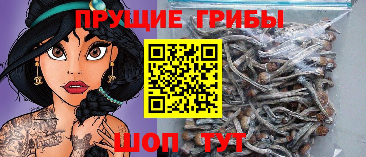 Бошки Шишки  МАРИХУАНА  МЕФ кристаллы  Вход с VPN  Егорьевск  Гашиш  КОКАИН 